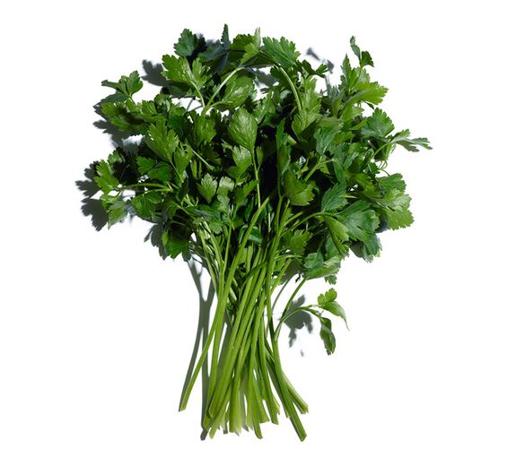 Pietruszka zwyczajna-Olejek eteryczny z pietruszki-Carum petroselinum (parsley) seed oil