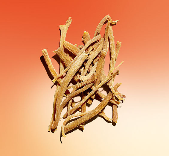 Żeń-Szeń-Ekstrakt z żeń-szenia-Panax ginseng root extract