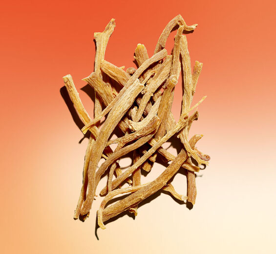 Żeń-Szeń-Organiczny ekstrakt z czerwonego żeń-szenia-Panax ginseng root extract